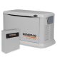 Generac Home Generator System